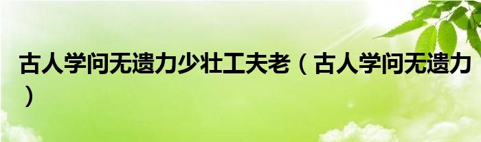古人学问无遗力少壮工夫老（古人学问无遗力）