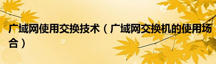 广域网使用交换技术（广域网交换机的使用场合）