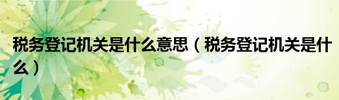 税务登记机关是什么意思（税务登记机关是什么）