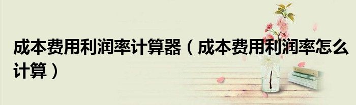 成本费用利润率计算器（成本费用利润率怎么计算）