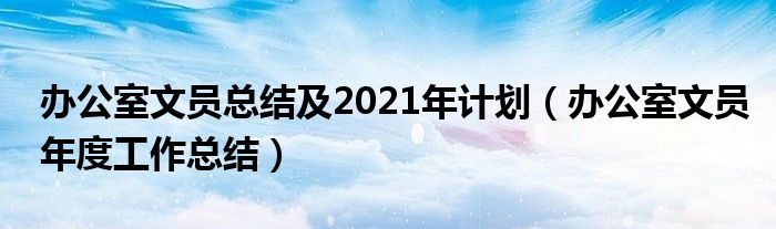 办公室文员总结及2021年计划（办公室文员年度工作总结）