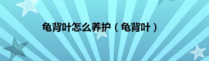 龟背叶怎么养护（龟背叶）