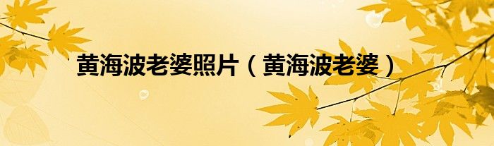黄海波老婆照片（黄海波老婆）