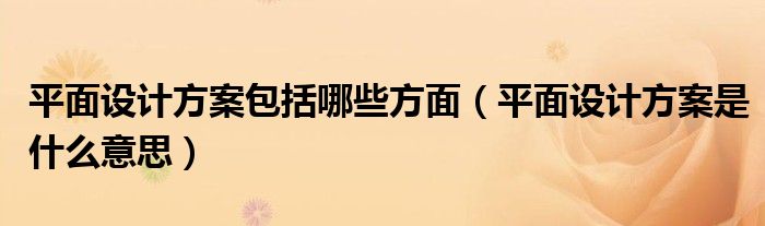 平面设计方案包括哪些方面（平面设计方案是什么意思）