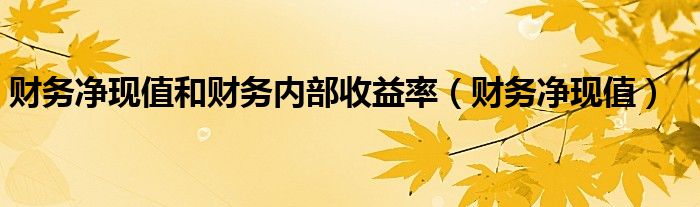 财务净现值和财务内部收益率（财务净现值）