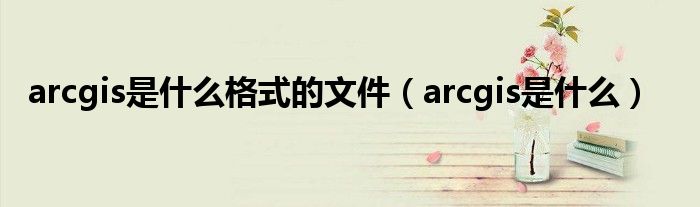 arcgis是什么格式的文件（arcgis是什么）