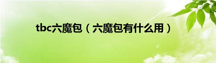 tbc六魔包（六魔包有什么用）