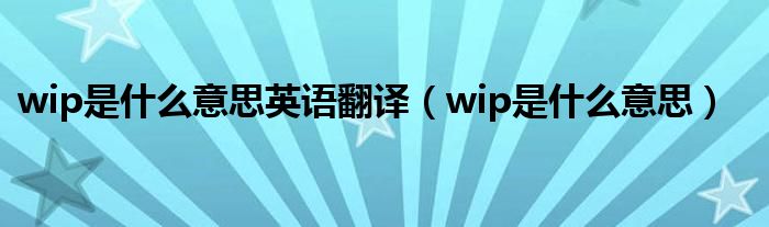 wip是什么意思英语翻译（wip是什么意思）