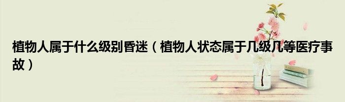 植物人属于什么级别昏迷（植物人状态属于几级几等医疗事故）
