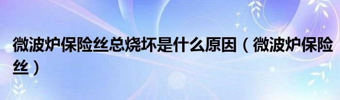 微波炉保险丝总烧坏是什么原因（微波炉保险丝）