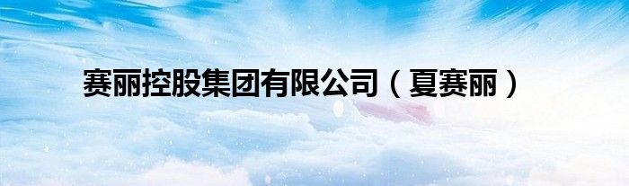 赛丽控股集团有限公司（夏赛丽）