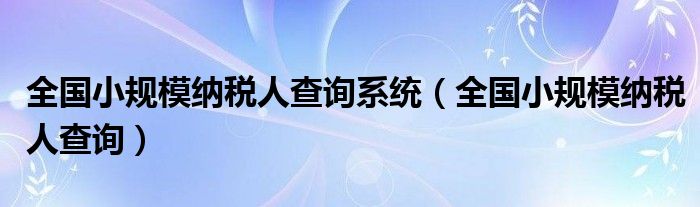 全国小规模纳税人查询系统（全国小规模纳税人查询）