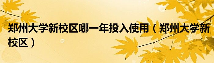 郑州大学新校区哪一年投入使用（郑州大学新校区）