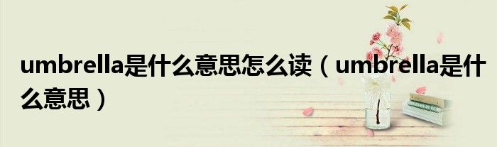 umbrella是什么意思怎么读（umbrella是什么意思）