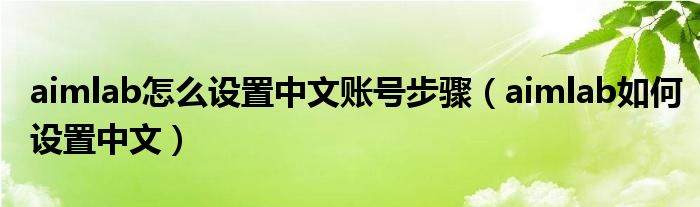 aimlab怎么设置中文账号步骤（aimlab如何设置中文）