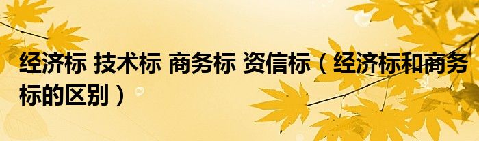 经济标 技术标 商务标 资信标（经济标和商务标的区别）