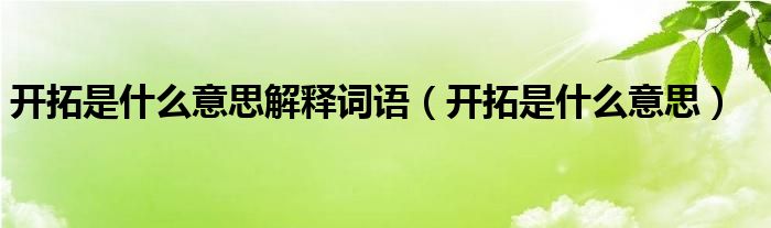 开拓是什么意思解释词语（开拓是什么意思）