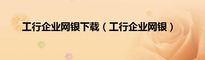 工行企业网银下载（工行企业网银）