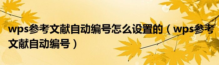 wps参考文献自动编号怎么设置的（wps参考文献自动编号）