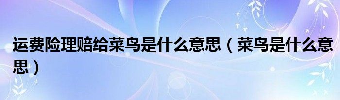 运费险理赔给菜鸟是什么意思（菜鸟是什么意思）