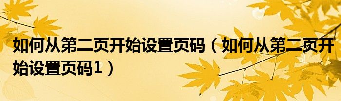 如何从第二页开始设置页码（如何从第二页开始设置页码1）