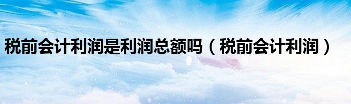 税前会计利润是利润总额吗（税前会计利润）