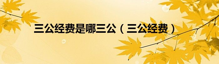 三公经费是哪三公（三公经费）