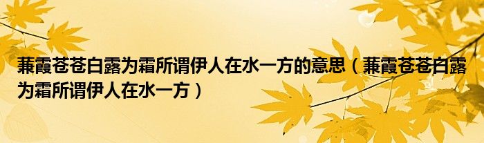 蒹霞苍苍白露为霜所谓伊人在水一方的意思（蒹霞苍苍白露为霜所谓伊人在水一方）