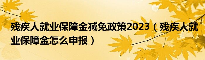 残疾人就业保障金减免政策2023（残疾人就业保障金怎么申报）