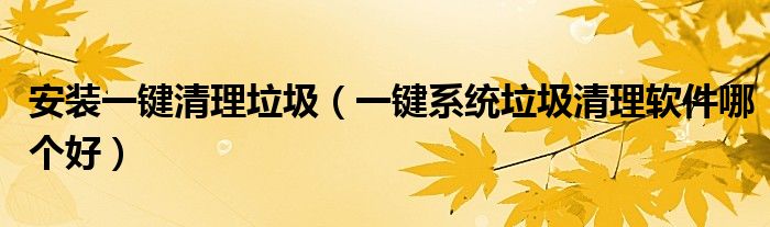 安装一键清理垃圾（一键系统垃圾清理软件哪个好）