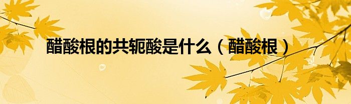 醋酸根的共轭酸是什么（醋酸根）