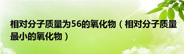 相对分子质量为56的氧化物（相对分子质量最小的氧化物）