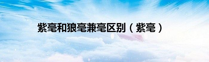 紫毫和狼毫兼毫区别（紫毫）