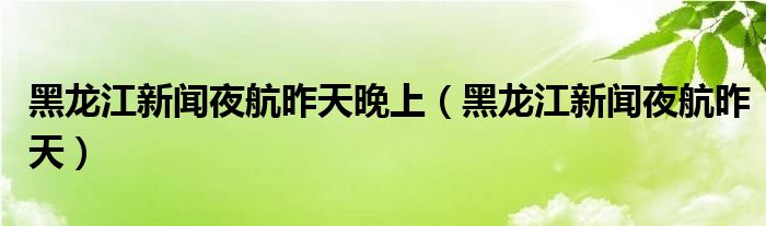 黑龙江新闻夜航昨天晚上（黑龙江新闻夜航昨天）
