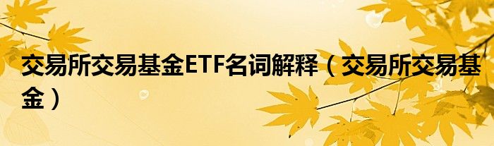 交易所交易基金ETF名词解释（交易所交易基金）