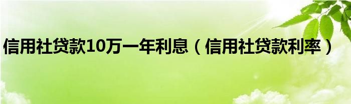信用社贷款10万一年利息（信用社贷款利率）