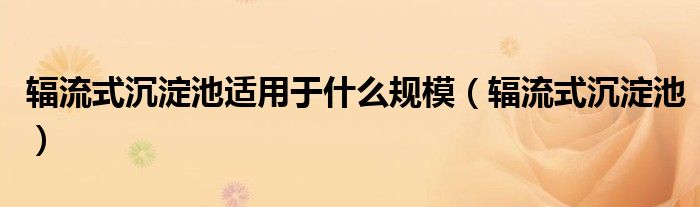辐流式沉淀池适用于什么规模（辐流式沉淀池）