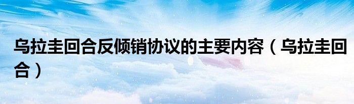 乌拉圭回合反倾销协议的主要内容（乌拉圭回合）