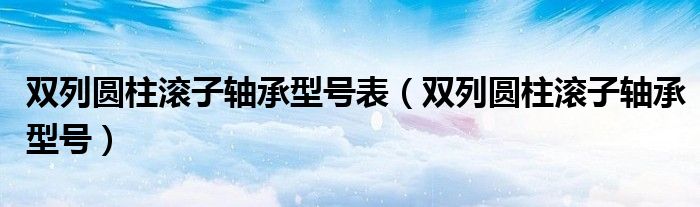 双列圆柱滚子轴承型号表（双列圆柱滚子轴承型号）
