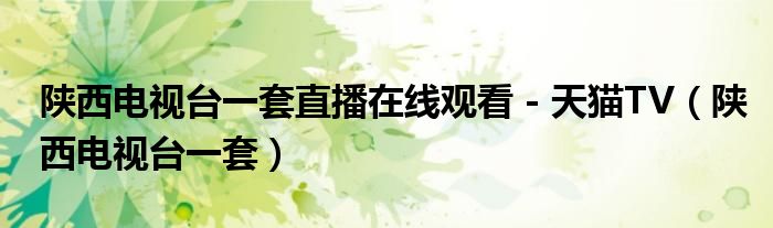 陕西电视台一套直播在线观看 - 天猫TV（陕西电视台一套）