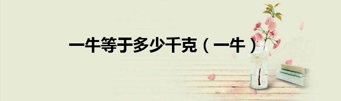 一牛等于多少千克（一牛）