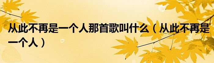 从此不再是一个人那首歌叫什么（从此不再是一个人）