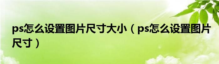 ps怎么设置图片尺寸大小（ps怎么设置图片尺寸）