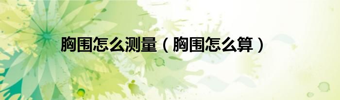 胸围怎么测量（胸围怎么算）