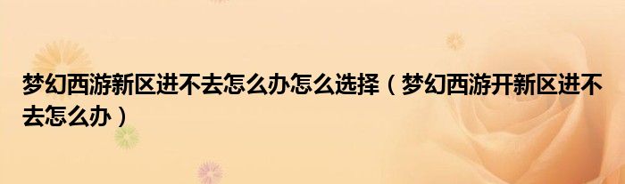 梦幻西游新区进不去怎么办怎么选择（梦幻西游开新区进不去怎么办）