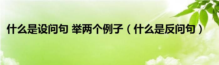 什么是设问句 举两个例子（什么是反问句）