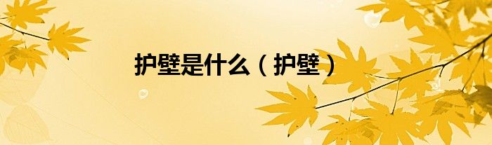 护壁是什么（护壁）