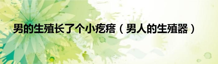男的生殖长了个小疙瘩（男人的生殖器）