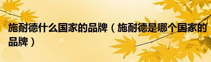 施耐德什么国家的品牌（施耐德是哪个国家的品牌）