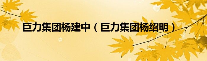 巨力集团杨建中（巨力集团杨绍明）